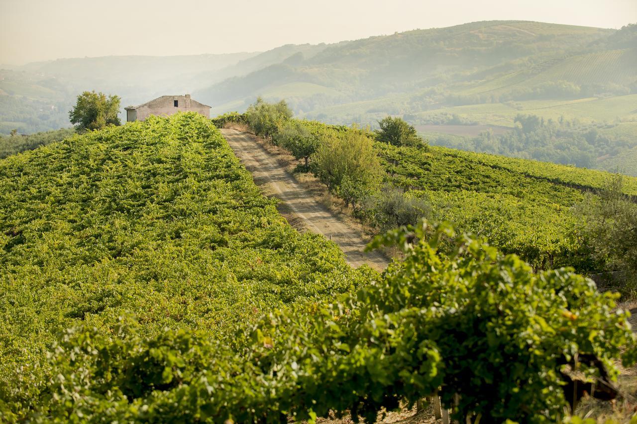 Baldovino B&B Villamagna  Екстериор снимка